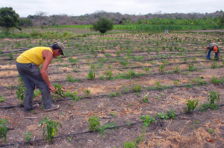 Gobierno de Ecuador entrega tierras a la población
